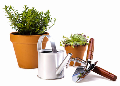 Accessoires de jardin, plants de fleurs et légumes Rive-Nord de Montréal